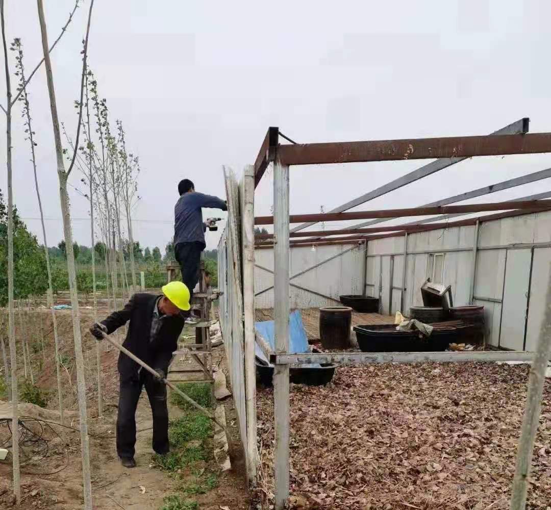  �ӱ����ݣ����������ڳ���ǿ����չΥ���������