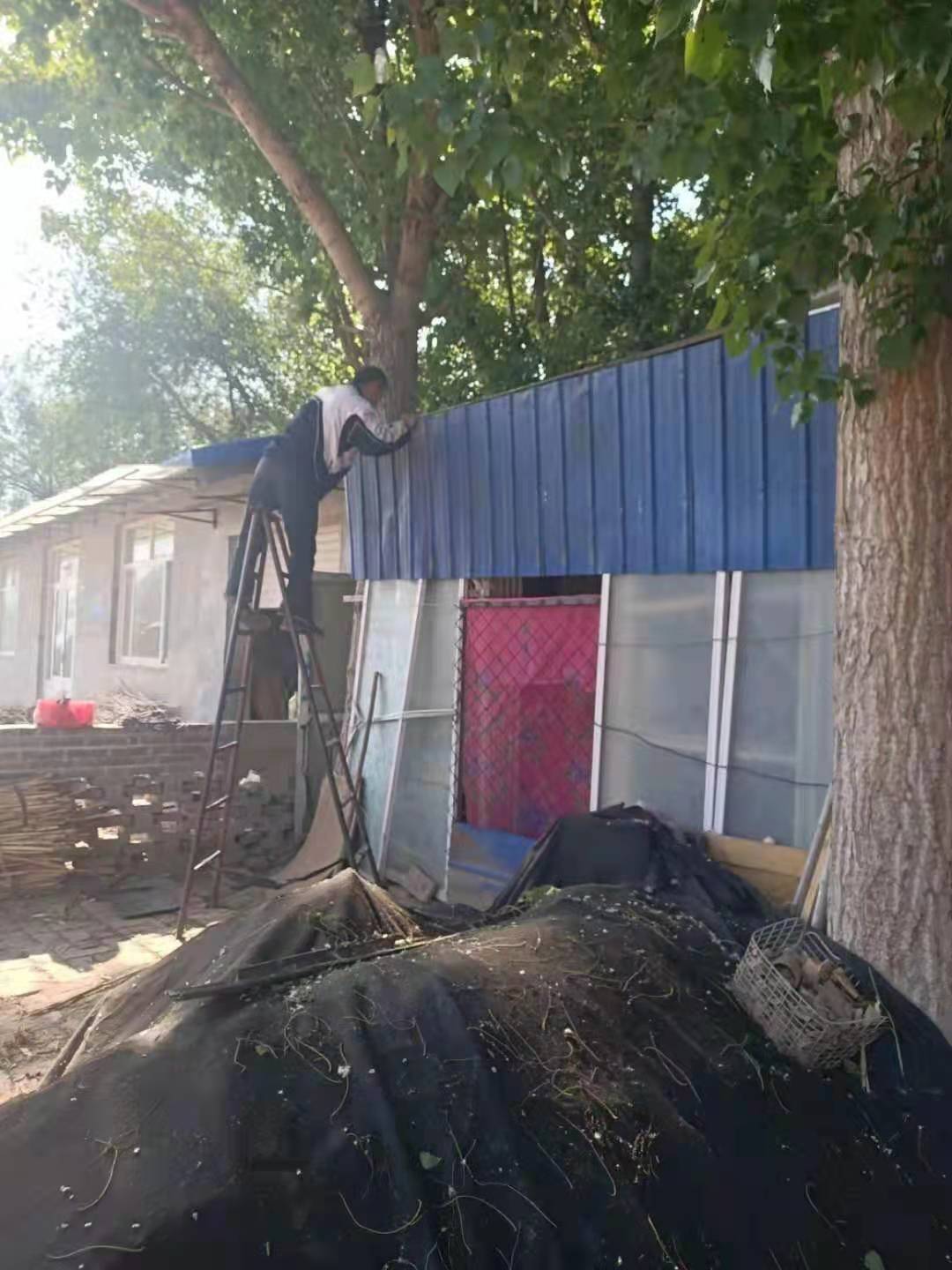  �ӱ����ݣ����������ڳ���ǿ����չΥ���������