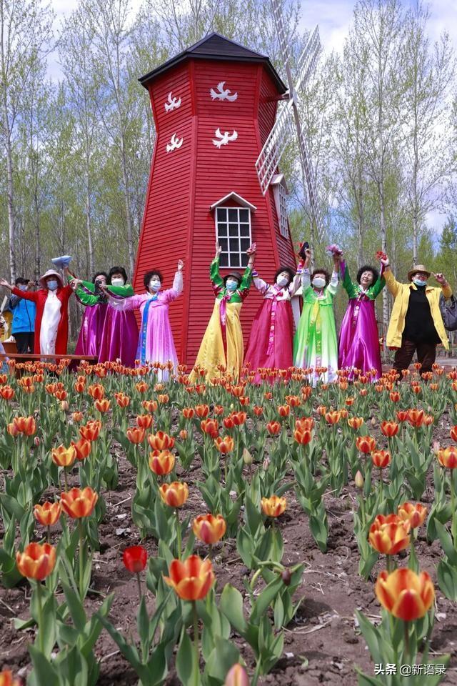 ����������ʼ����һ�𡪡�����������˳�ƶ���