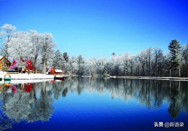 Ӧ����֮�� ��������"���ܶ�+������"������Ϊ