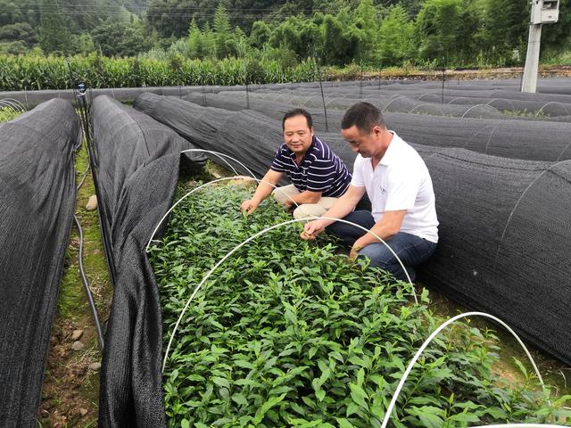 �㽭���£���ϲ�̰ײ� ��Ʈ����Զ