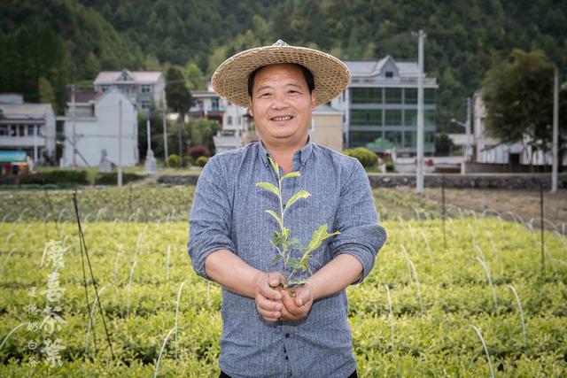 �㽭���£���ϲ�̰ײ� ��Ʈ����Զ