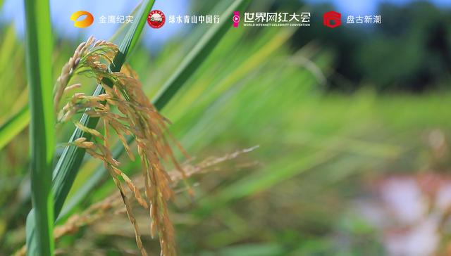 ��֤����һ����������>��ί���߽��޶������������ѷ�ƶ����