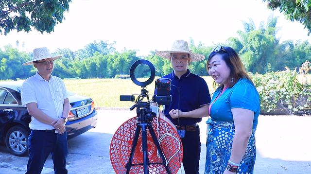 ��֤����һ����������>��ί���߽��޶������������ѷ�ƶ����