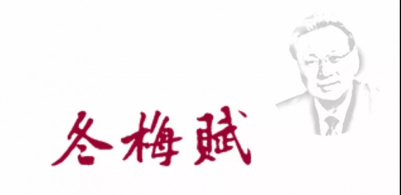 丁嘉耕书江必新《冬梅赋》(片断)