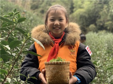 �㽭����ʦ�����������ժ