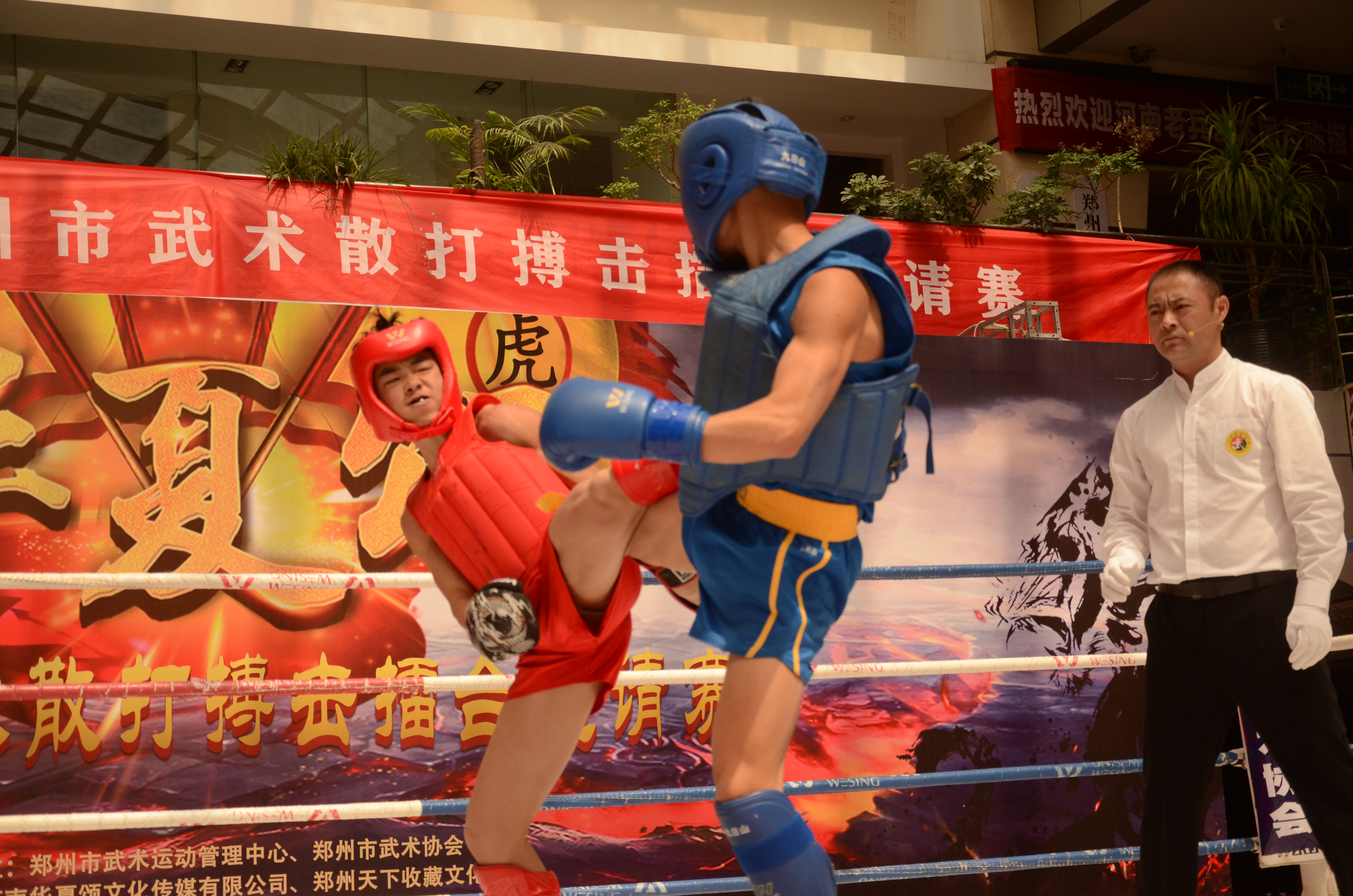 2021�꡶�����̡�֣��������ɢ�򲫻���̨������Բ���ɹ�