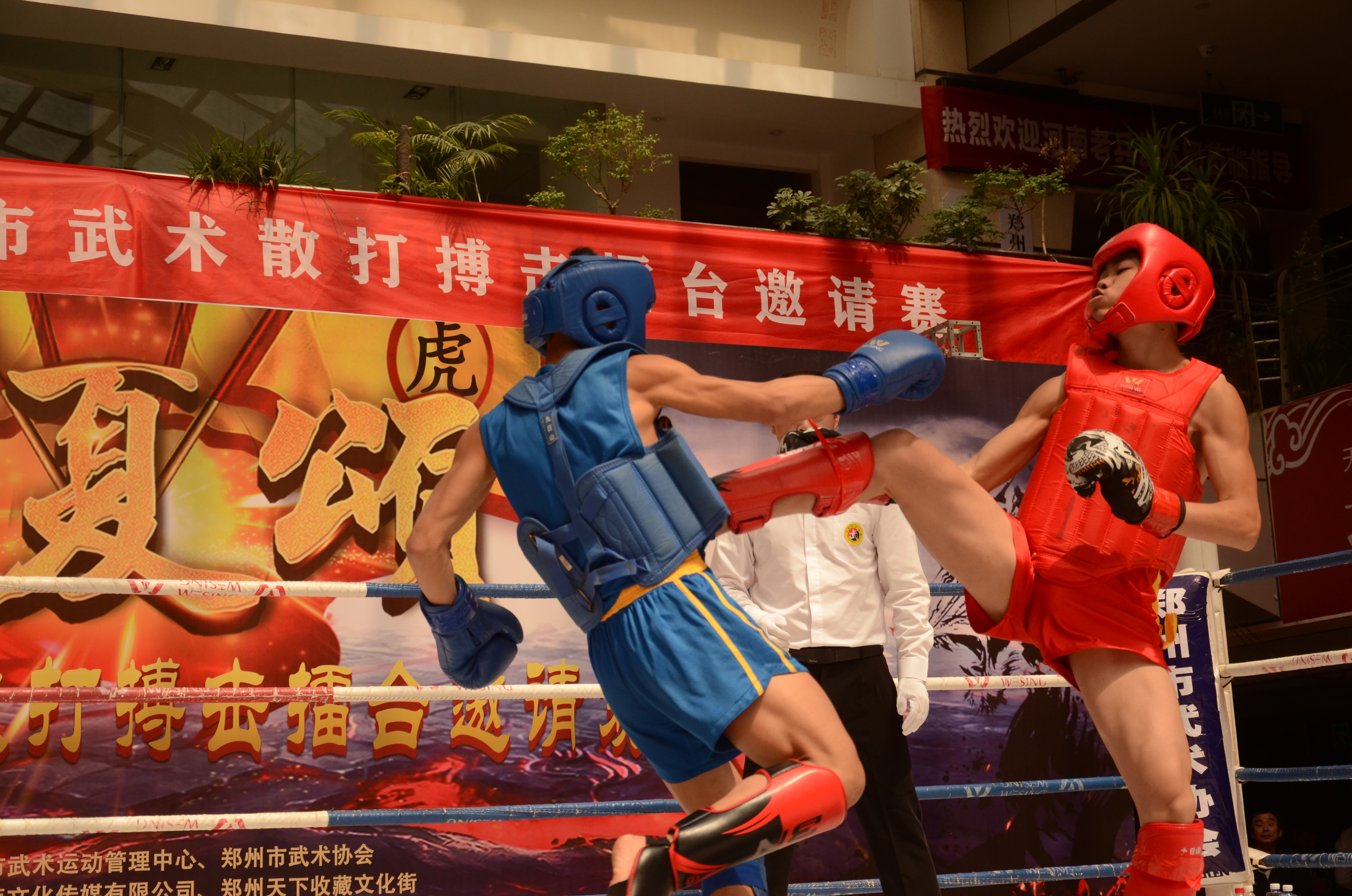 2021�꡶�����̡�֣��������ɢ�򲫻���̨������Բ���ɹ�