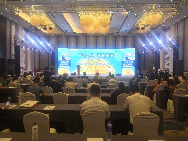 �����Ļ�����ר���ƽ���ڻ����ٰ�