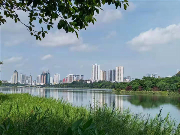 Ҷ�����߳���ʫ10��