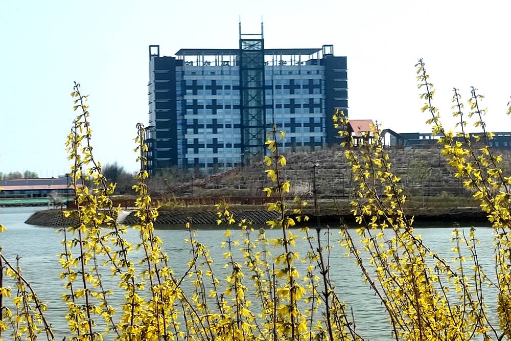 点击进入看图评论