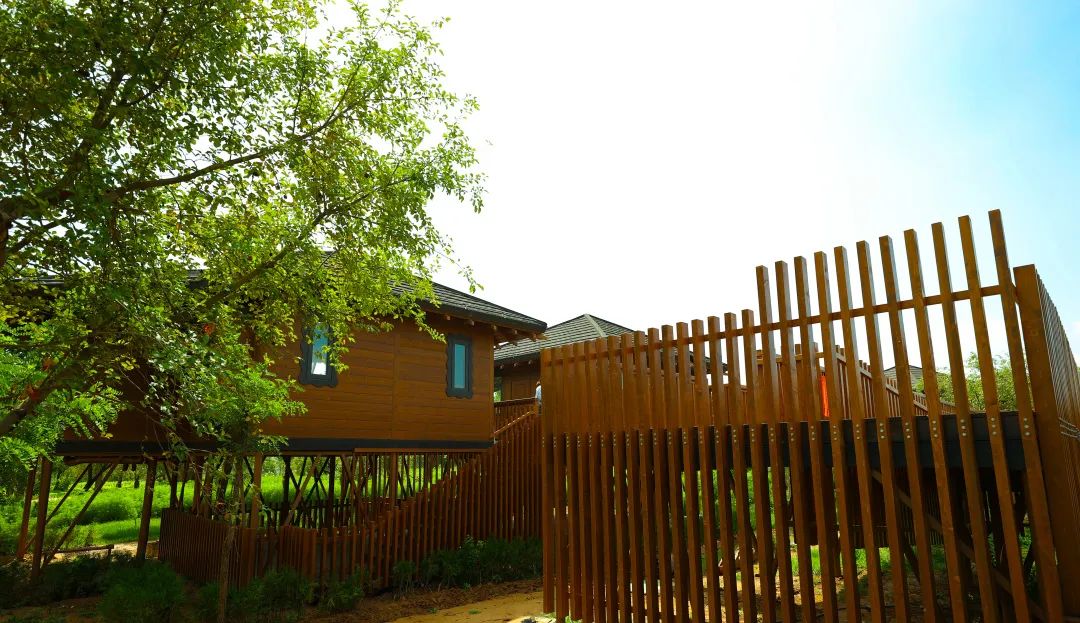 2.3��Ԫ�������طᰲ�����ζȼ�����԰�ؽ����������