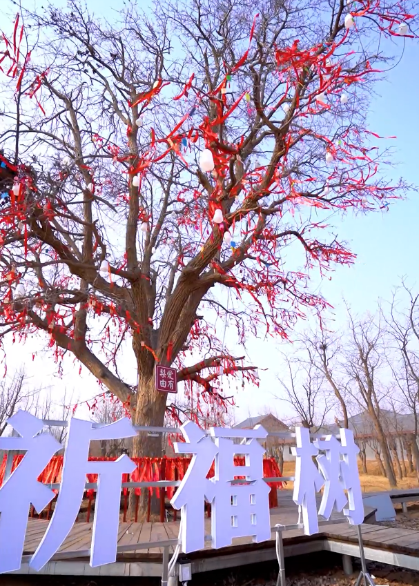 2.3��Ԫ�������طᰲ�����ζȼ�����԰�ؽ����������