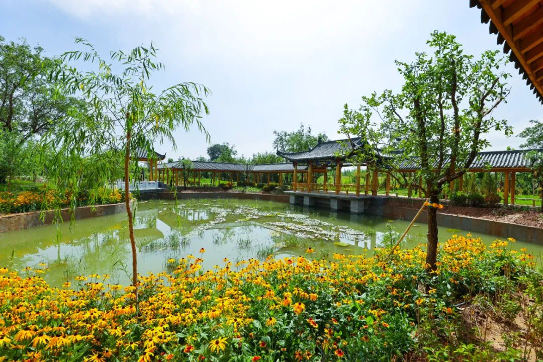 2.3��Ԫ�������طᰲ�����ζȼ�����԰�ؽ����������