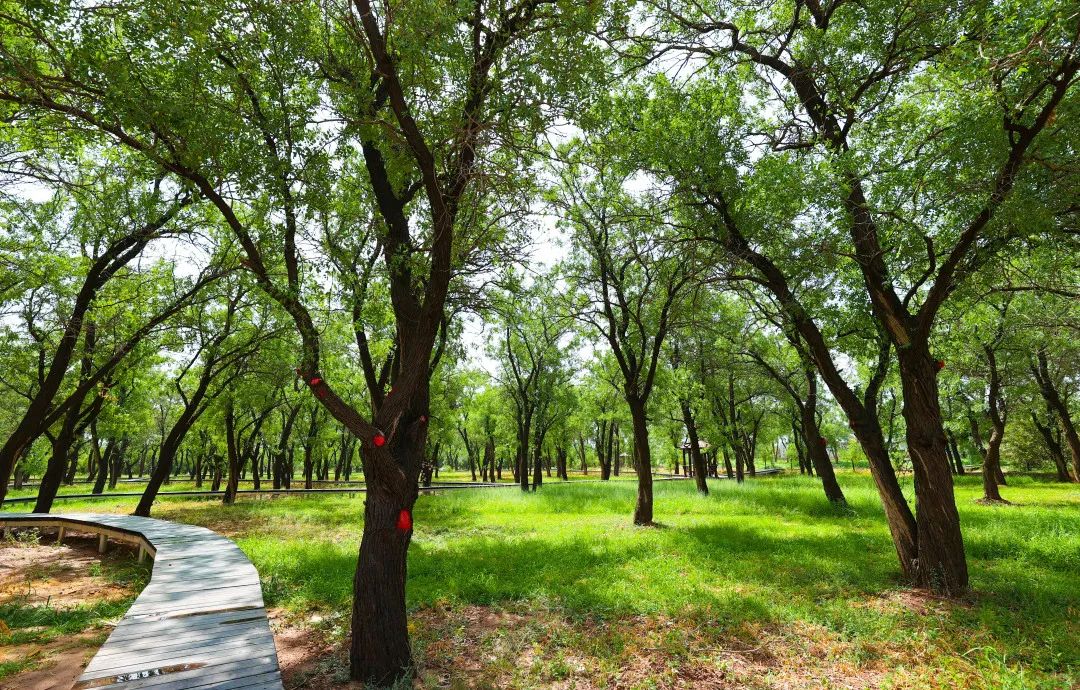 2.3��Ԫ�������طᰲ�����ζȼ�����԰�ؽ����������