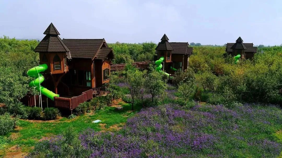 2.3��Ԫ�������طᰲ�����ζȼ�����԰�ؽ����������