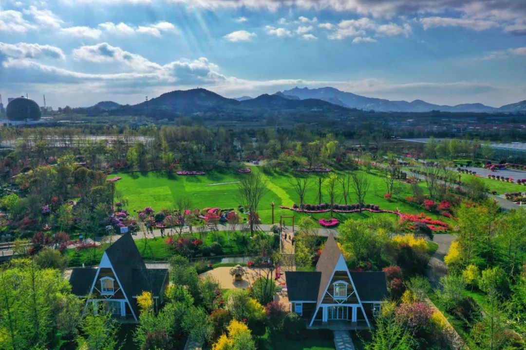 ��Լɽ�� �ž黨���������Ľ��й������գ��ž黨������������Լ