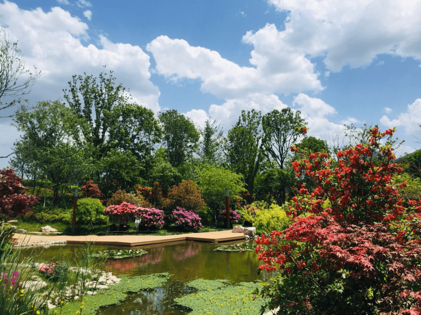 ��Լɽ�� �ž黨���������Ľ��й������գ��ž黨������������Լ