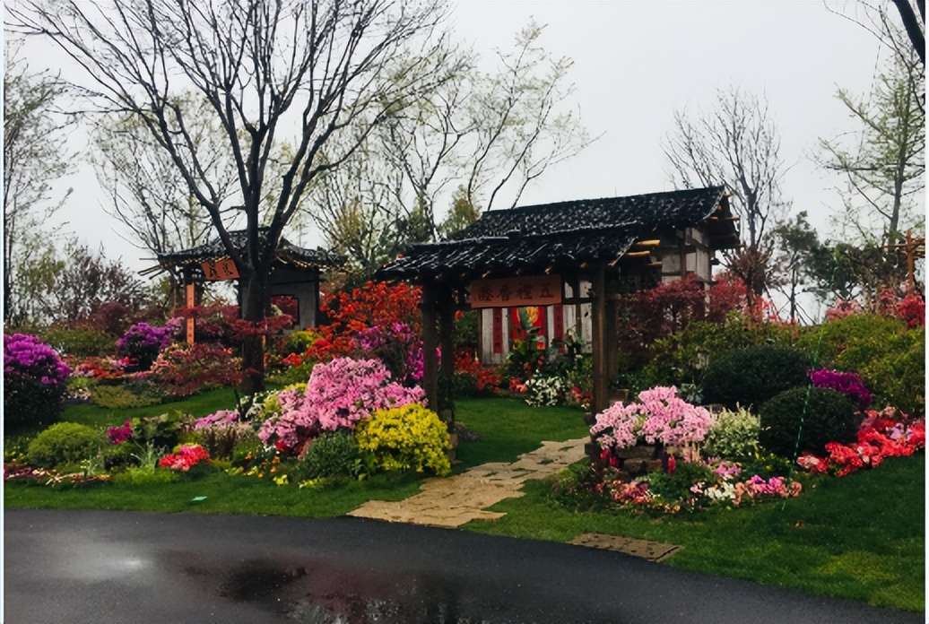 ��Լɽ�� �ž黨���������Ľ��й������գ��ž黨������������Լ