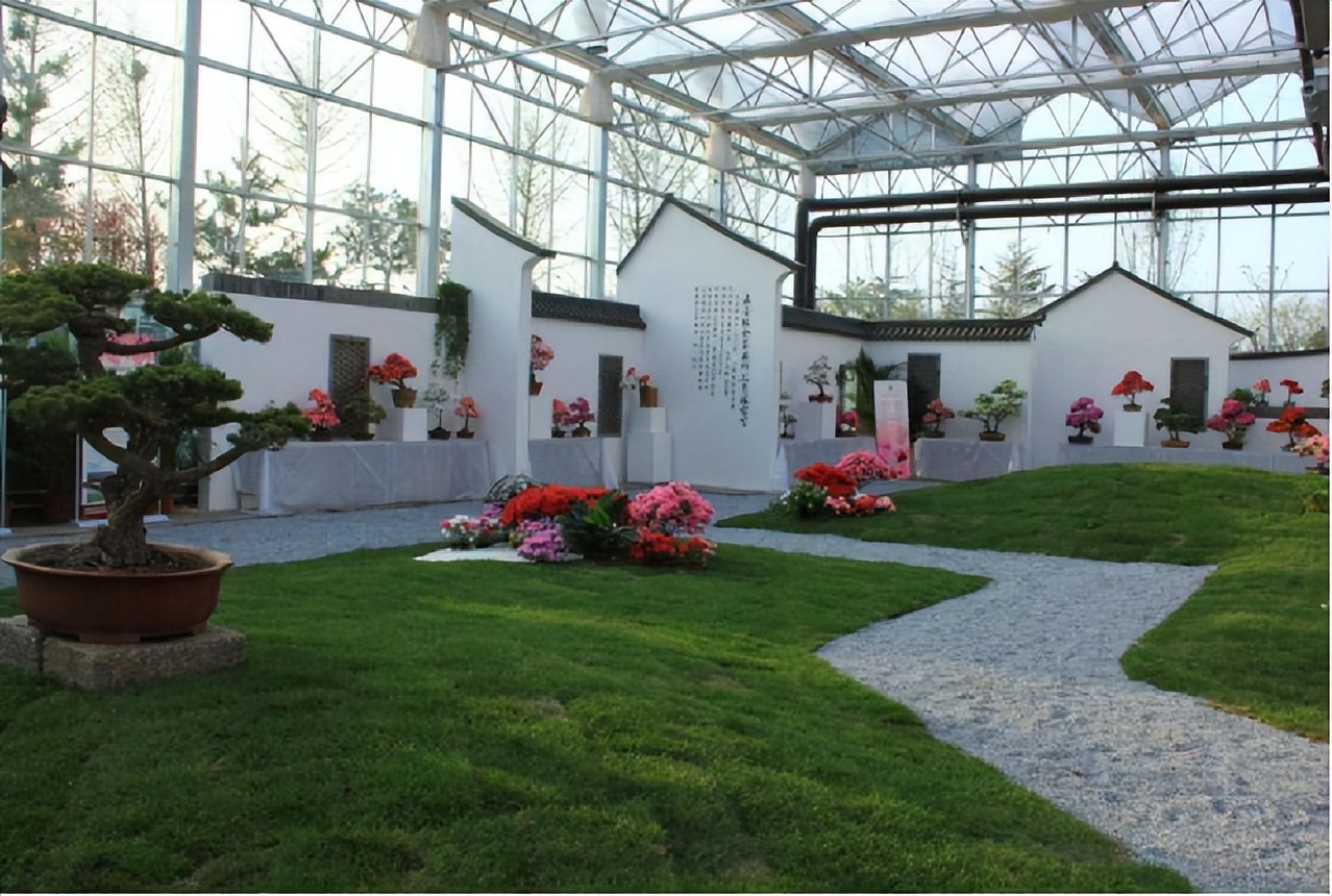 ��Լɽ�� �ž黨���������Ľ��й������գ��ž黨������������Լ