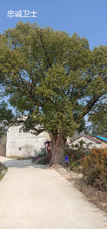 �� �� �� �� ��