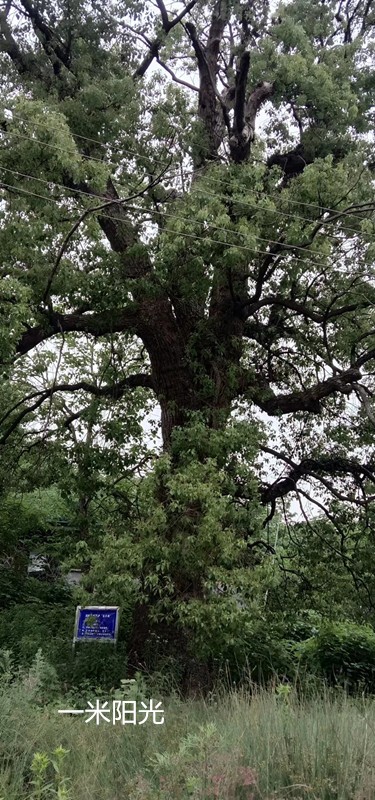 �� �� �� �� ��