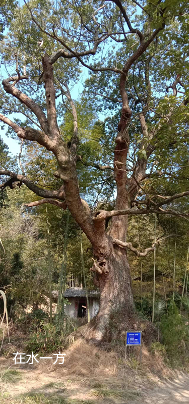 �� �� �� �� ��