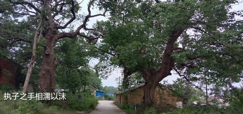 �� �� �� �� ��