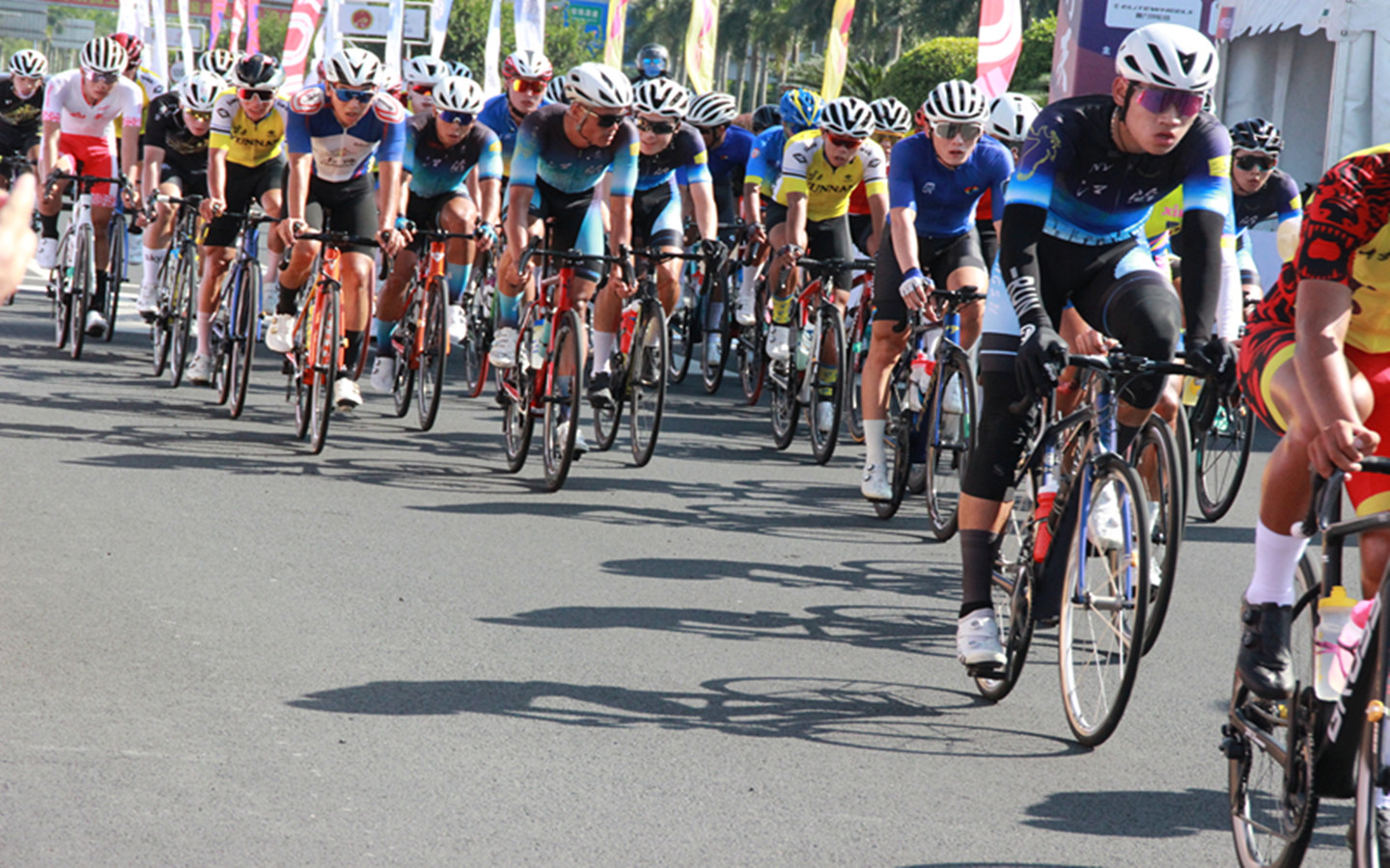 IMG_7315.JPG IMG_7315.JPG