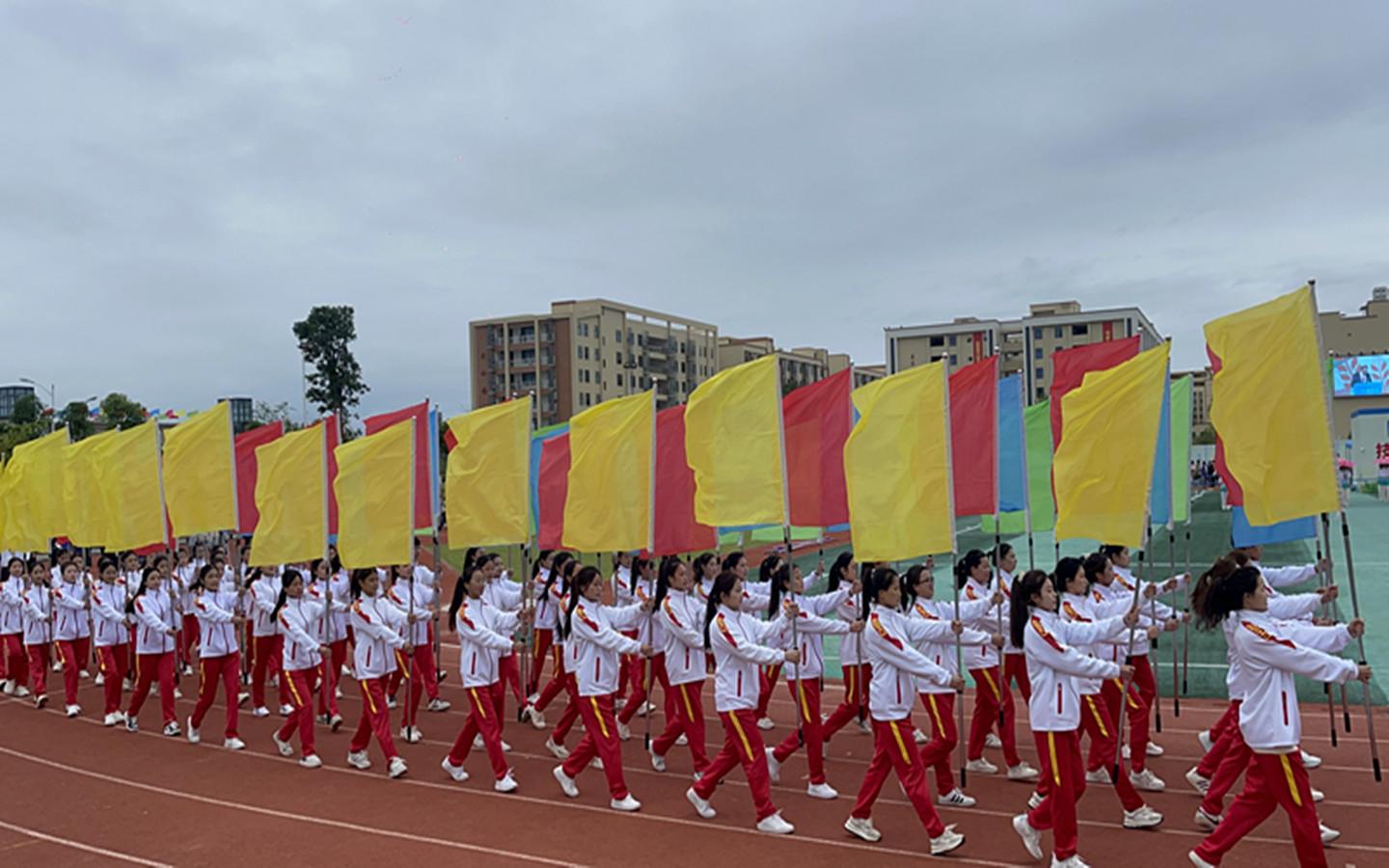 微信图片_20231114092748 微信图片_20231114092748