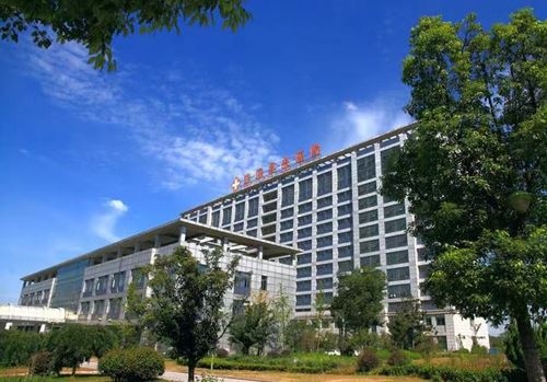 14210803892240810_5.jpg 14210803892240810_5.jpg