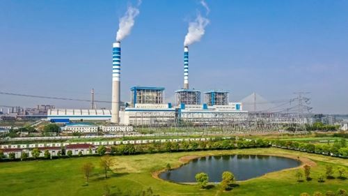 2230202566893834_5.jpg 2230202566893834_5.jpg